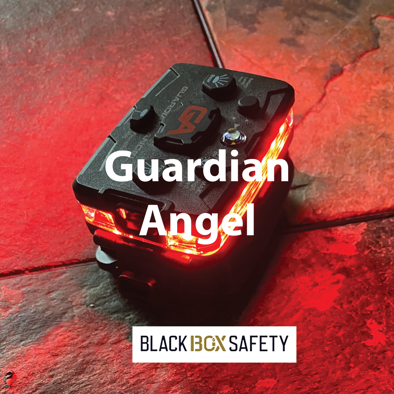 Guardian Angel