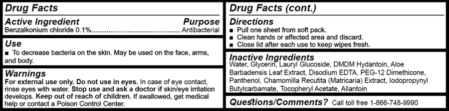 safeHands Hand Sanitizer Wipes Drug Facts