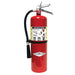 Amerex 10lb Fire Extinguisher B456